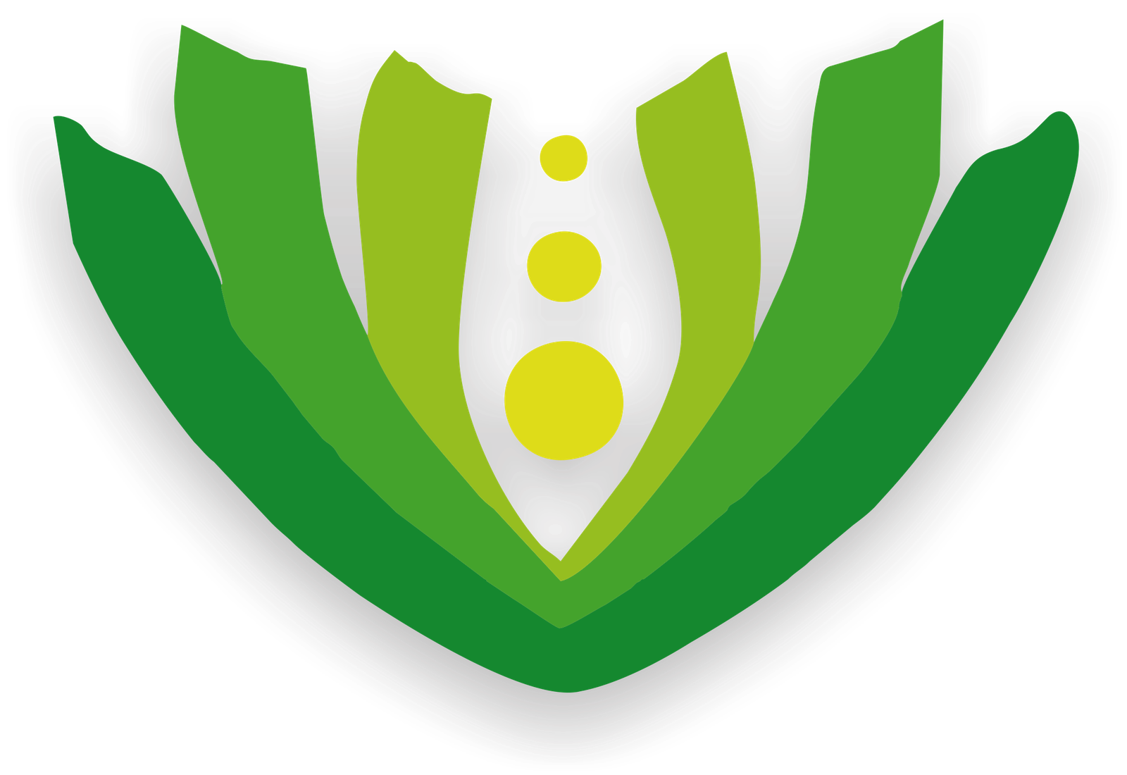 Logo MFV
